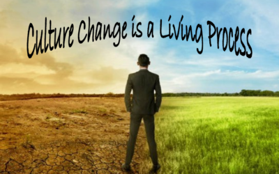 Real World Improvement: Culture Change is a “Living Process.”
